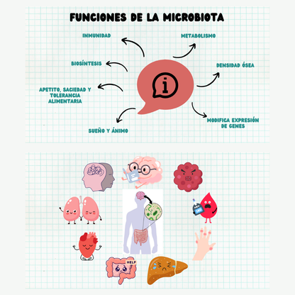 Cómo sobrevivir al colon irritable y no morir en el intento: Guía práctica para pacientes